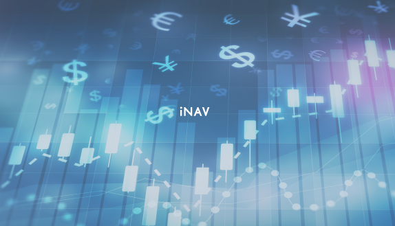 iNAV
