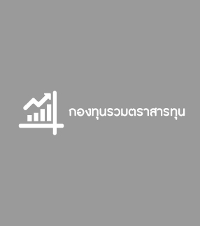 กองทุนรวมตราสารทุน