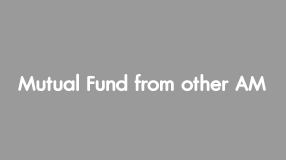 Mutual Fund from other AM 