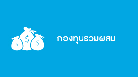 กองทุนรวมผสม